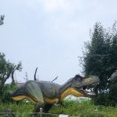 8월13일 일 공룡자연사 박물관 이미지
