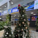 동부부산컨테이너터미널 | [버스 시간표][2025.12.27] 부산 금정구 노포동, 부산동부버스터미널, 부산 시외버스터미널 및 시설