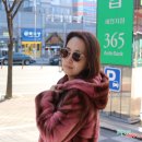 도수세천 이미지