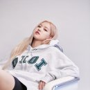 로제 일간스포츠