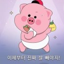 긴급 다이어트 프로젝트! 버닝올로지 디데이 내돈내산 다이어트 후기