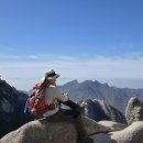 (주)복사꽃사람들 이미지