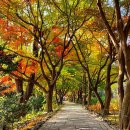 현대자동차 앞(부흥로380) | 자연 산책 명소, 파주 벽초지수목원 방문 후기｜입장료·주차·운영시간 완벽 정리