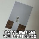 인터메디 | 울산 무인 셀프사진관 코코아 스튜디오 울산송정점에서 반려견과 함께 가족사진찍은 후기