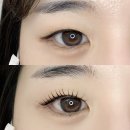 뮤온 - 이천시 | 이천속눈썹펌 잘하는곳 주의사항, 이천 뮤온 속눈썹펌 솔직후기