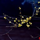 마쓰 - 고양시 일산동구 | 마쓰