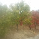 송도로공인중개사사무소 이미지