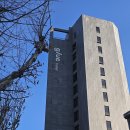 글루호텔 | 서울 호캉스 호텔 추천 혜화 글루호텔 가성비 디럭스더블