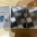 대일사