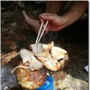 돌탱이 Daum카페