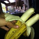 원플러스원 이미지