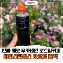 민들레몰 | 진짜 제로 100% 무카페인 보리차커피 음료, 바리스타룰스 오르조블랙 솔직후기
