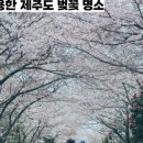 서광리-23 네이버블로그
