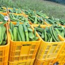 해와달농장 이미지