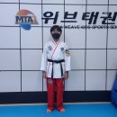 MTA 위브태권도 이미지