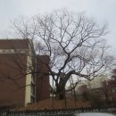 부천여자중학교 이미지