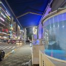 아라회관 | 창원 상남동 횟집 추천 아라회관 모둠회 생선구이 후기