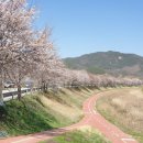 청성면행정복지센터 이미지