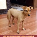 버스승강장 앞 이미지