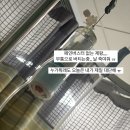 하종원 | 일기 ep.5_ 호주출산 vs 한국출산_페인부스터 O vs X | 찐 후기 &amp; 일산차병원 하종원 교수님 감사해요🫶🏻 |