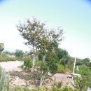 해룡농장 이미지