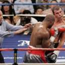 부산복싱클럽 이미지