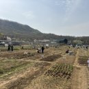 우후농장 이미지