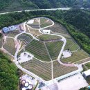 동해시-36 이미지