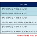 다비치히어링