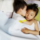 샤니안경 이미지