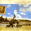 동삼초등학교 이미지