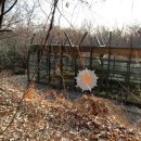 관양동 청동기유적 이미지