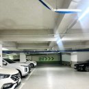 단디메디 이미지