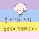 수가솔방 솔잎찜질방 | 믿을 수 있는 천연치약, 수가솔방 솔잎치약 송치 후기 💚