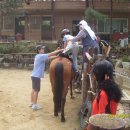 노틀담복지관 이미지