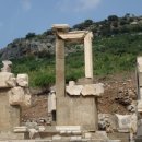 하나로가축병원 이미지