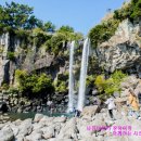 중앙로타리-서홍 이미지