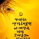 눈꽃여행 이미지