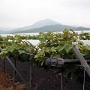 반곡농장 이미지