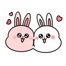 윤애견미용 이미지