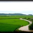 삼선리 게이트볼장