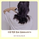 세인가헤어 | 산후 정수리 탈모 관리 헤어미라클 두피마사지기 세 달 사용 후기!