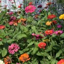 덤드림 송현점 이미지