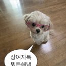 없음 네이버블로그