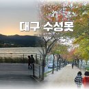 통기타 중급/야간 | 수성못 분수쇼 시간 주차장 11월 대구 가볼 만한 곳