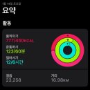 아리라인