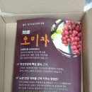 법인문경몰
