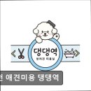 댕댕역 | {부천, 강아지, 고양이, 애견미용, 추천!) 부천 애견미용 댕댕역 부천 애견미용 댕댕역, 맞춤 케어로 만족