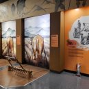 청도소싸움미디어체험관 이미지