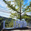 대구 앞산전망대와 경산 반곡지(2024.10.5.~6.)